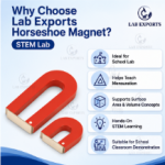 Horseshoe Magnet